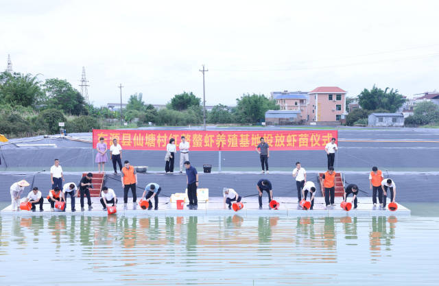 东源县仙塘村红螯螯虾养殖基地投放虾苗仪式现场 东源县仙塘村红螯螯虾养殖基地投放虾苗仪式现场