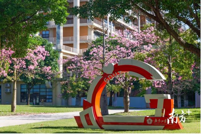 星空注册校园图景。受访者供图